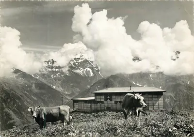Alpine de Braunwald — chalé a 1800 m — editor FOTO Schonwetter GLARUS, n° 03054