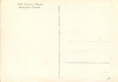 Widok jeziora i gór — Hotel Terminus, Vitznau — Verlag Beringer & Beringer, Zurich — Rewers
