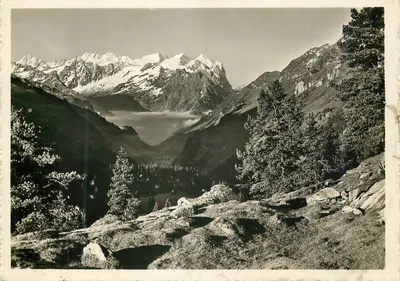 Os 3 Wetterhörner — Gr. Schreckhorn, Lauteraarhorn, Finsteraarhorn — Foto Floreani, Zürich 1, n° 1499