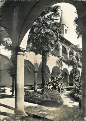 Cour interna com palmeiras — editor Foto Pancaldi, Ascona, n°16