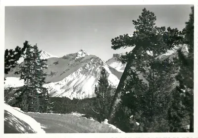 Arosa, Arlenwald-Promenade — vista de montanhas nevadas com trilha — Photo & Verlag R. Henker, Pap. Arosa, n° 926