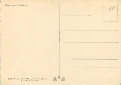 Dwa polarne niedźwiedzie — w skałach — Photoglob-Wehrli & Vouga & Cie. S.A., Zurych, n°87/3 — Rewers