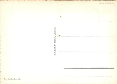 Montreux i Dents du Midi — widok panoramiczny — O. Sartori, Lausanne, n° 3505 — Rewers