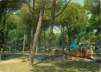 Pineta - divertimento dos bebês — Viareggio — Artri Grafiche Pardini, n°132