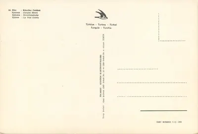 Ruiny Efezu — kolumny i statuie — TICARET KOSTEM KARTPOSTALLARI, Izmir — Rewers