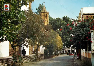 Teror (Gran Canaria) — Primrose — Edições ESCUDO DE ORO