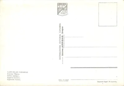 Camello che arà — scena tipica delle Canarie — Editore Arribas, n° 2.095 — Verso