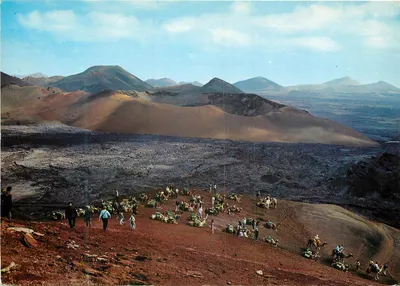 Lanzarote — Montaña del Fuego — Caravana de Camelo — Edição Comercial Silva