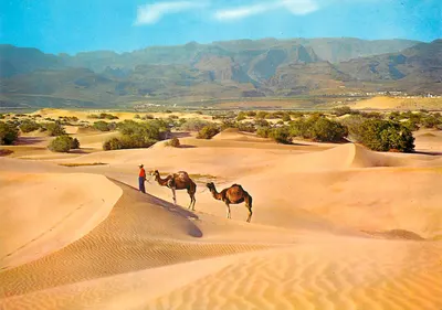 Deserto de Maspalomas — Gran Canária — Distribuidores: GLOBAL TRADERS