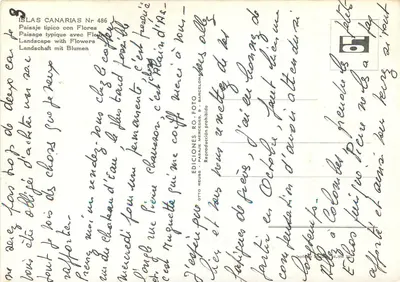 Paisagem típica com Flores — Ilhas Canárias — Edições Otto Reuss, n° 486 — Verso