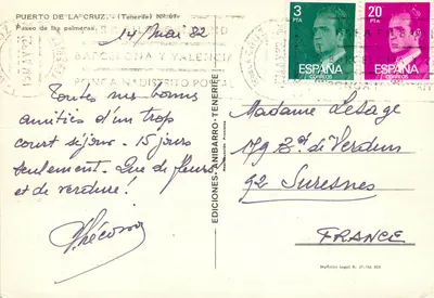 Puerto de la Cruz — Paseo de las Palmeras — Wydawnictwo Anibarro, nr 67 — Rewers