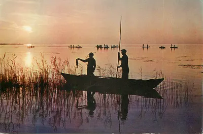 Albufera — Pôr do sol — Éditions Ágata, n° 4013