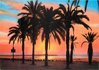 Pôr do sol — Puesta de Sol — Savir, Espanha — Made in Spain