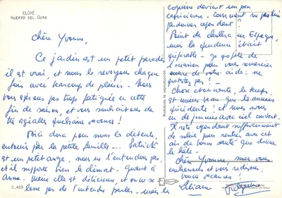 Jardin de Huerto del Cura — Elche — wydawca Pergamino, nr 3.489 — Rewers