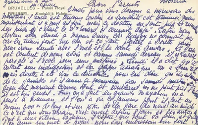 Brukselka - Pałac Królewski — widok panoramiczny — wydawca nieznany — Rewers