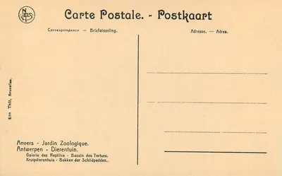 Anvers - Ogród Zoologiczny — Galeria Reptiliów - Basen z Żółwiami — Ern Thill, Bruksela — Rewers