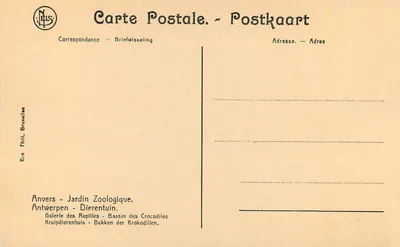 Anvers — ZOO — Basen krokodyli — Neils, Bruksel — Rewers