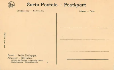 Korniata — Antwerpen, ZOO — Ern Thill Bruksel — Rewers