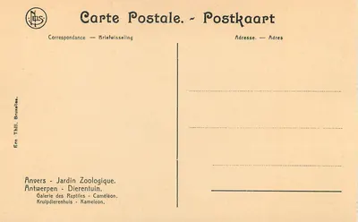 Caméléon — Antwerppia - Ogrodniczki Zoologiczne — Wydawca Thill, Bruksela — Rewers