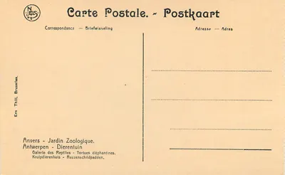 Anvers - Ogród Zoologiczny — Wielkie żółwie elefancyjskie — Wydawnictwo Neis — Rewers