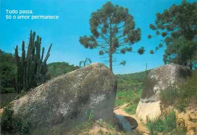 Paisagem com rochedos e araucárias — citação de Chiara Lubich — Editor Cidade Nova, série 87