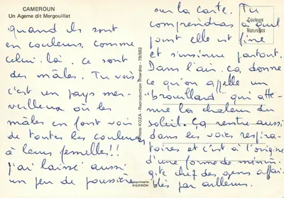 Agame zwany Margouillat — Kamerun — Foto KOZA - Reprodukcja zabroniona - 79/592 — Rewers