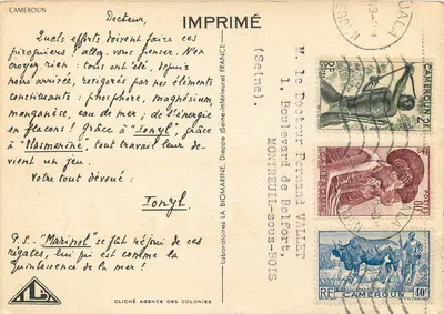 Regatas de piraguas em Douala — Camerun — Impresso por M. o Dr. Tonyl — Verso