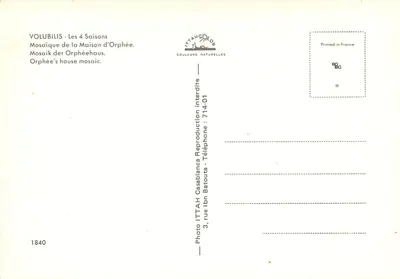 Volubilis — Mosaico da Casa de Orfeu — ITTAH — Verso