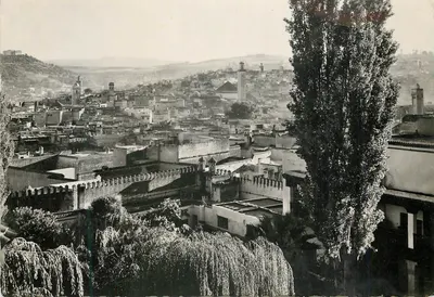 Fès (Maroc) — Vue sur la Médina — Hôtel Palais Jamaï, série 852