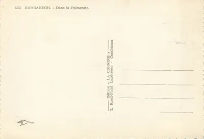 Marrakech — W Palmiery — Wydawnictwo «La Cigogne» — Rewers