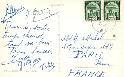 O Leão — Museu de Marrakech — Cie des Arts Photomécaniques — Verso