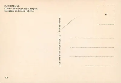 Luta de mangosta e serpente — Martinique — Éditions Félix ROSE-ROSETTE, n°306 — Verso