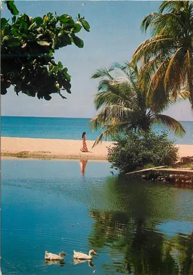 Praia das Caraíbas — Martinica — Hachette — n° 523