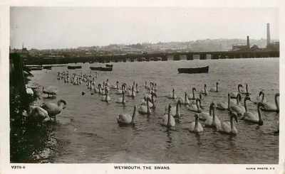 Weymouth, The Swans — Rapid Photo, E.C. — V378-6