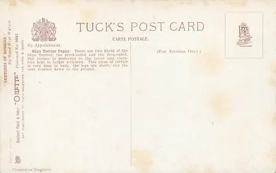 Filhote de Skye Terrier — por Maud West Watson — Tuck's Post Card n°9681 — Verso