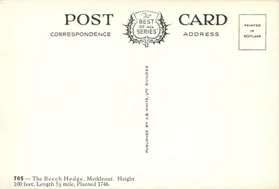Le Haie de Hêtre — Meikleour — Wydawca J.B. White, n°705 — Rewers