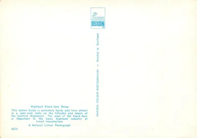 Wysokie owce czarne — Wydawca Arthur Dixon Ltd, n° 4674 — Rewers