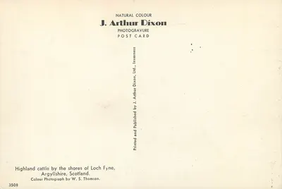 Vacas highland ao longo das margens do Loch Fyne, Argyllshire, Escócia — J. Arthur Dixon, n°3508 — Verso