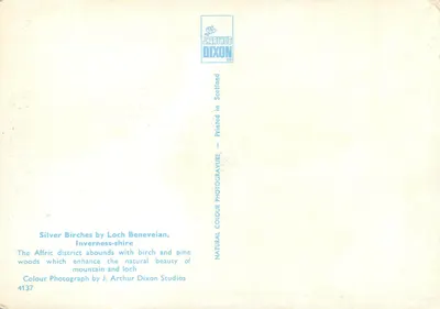 Silver Birches by Loch Beneveian, Inverness-shire — J. Arthur Dixon Ltd — Verso