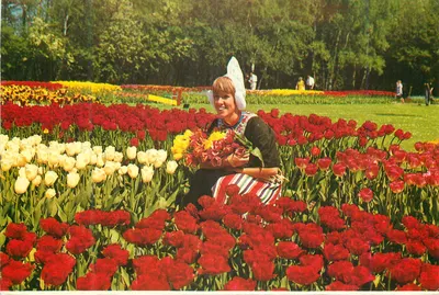 Flores de tulipas — Paisagem floral nos Países Baixos — Published by Euro Color Cards/Sleeuwijk