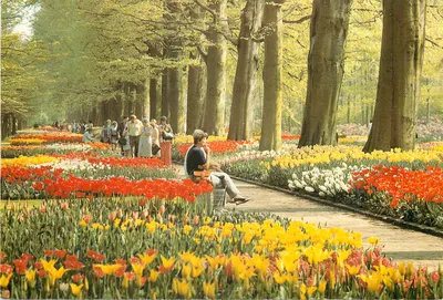 Jardim do Keukenhof — Lisse, Holanda — editor Planetas, n° 8009