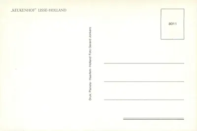 Jardim do Keukenhof — Lisse-Hollande — Drukkers Jonkers — Verso