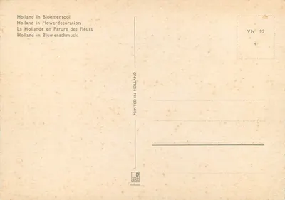 Pole czerwonych i żółtych tulipanów — krajobraz holenderski — Vita Nova, seria VN 95 — Rewers
