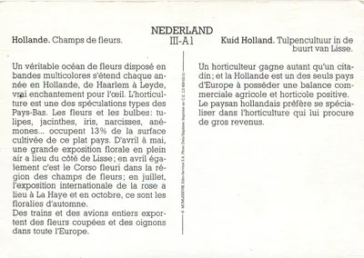 Hollande. Campos de flores — Néerlande, III-A1, Édito-Service S.A. — Verso