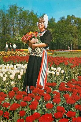 Mulher com traje tradicional entre tulipas — Holland in bloementooi — editor Koolomerzegels, n° 1122