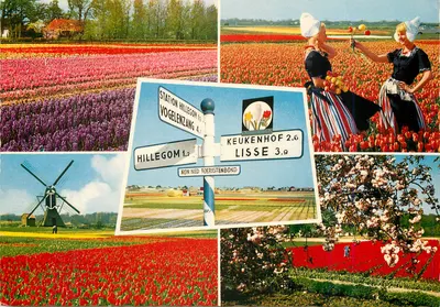 Paisagens holandesas — tulipas, moinho, Keukenhof — editor Gebr. Spanjersberg N.V., Rotterdam