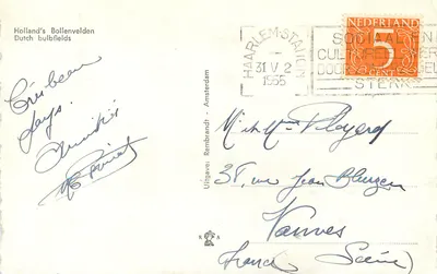 Holland's Bollenvelden — Campos de bulbos holandeses — Edición: Rembrandt - Amsterdam — Reverso