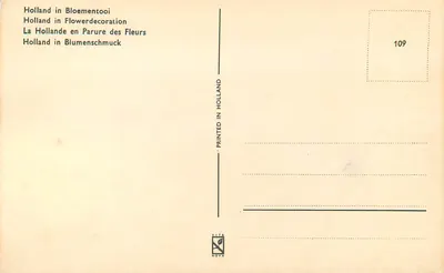 Campos de jazmines en Holanda — VITA NOVA, n°109 — Reverso