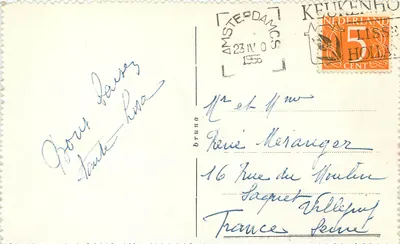 Kolorowe pola tulipanów w Lisse — Holandia — wydawca nieznany — Rewers