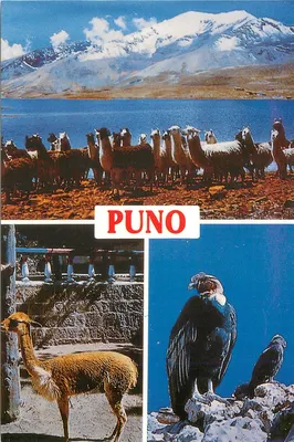 Puno — vista do lago Titicaca e das Andas — editor FORVE, n° P-032